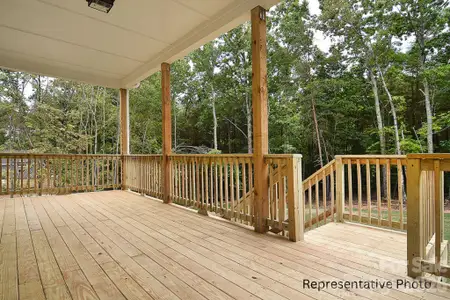 New construction Single-Family house 1069 Sage Pine Cir, Clover, SC 29710 - image 4