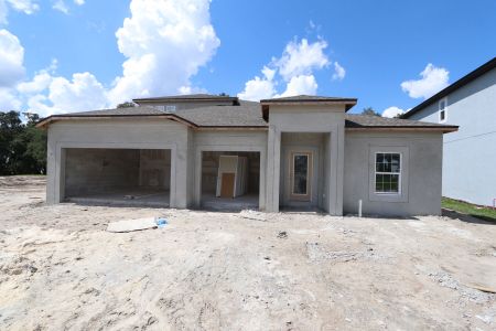 New construction Single-Family house 9603 Crescent Ray Dr, Wesley Chapel, FL 33545 Barcello Bonus- photo 2 2