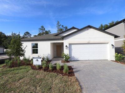 New construction Single-Family house 12915 Castle Oaks Dr, Hudson, FL 34669 plan Sentinel - image