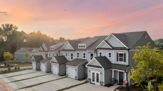 New construction Single-Family house 1005 Aubrieta St, Colfax, NC 27235 plan The Alexandria TH - image