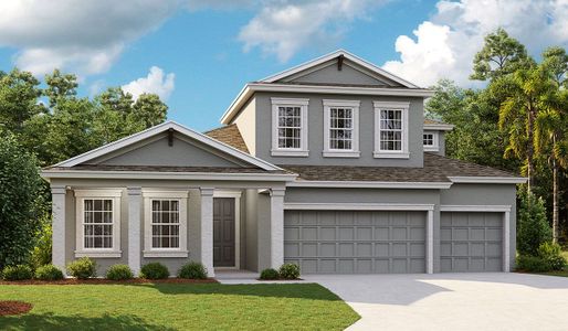 New construction Single-Family house 5379 Wolf Creek Dr, Apollo Beach, FL 33572 null- photo 1 1