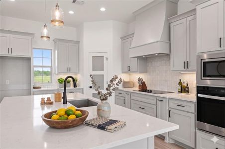 New construction Single-Family house 104 Prairie Winds Dr, Poolville, TX 76487 plan Plan Unknown - image 10