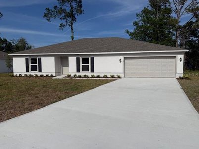 New construction Single-Family house 19 Birchwood Pl, Palm Coast, FL 32137 - image