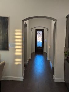 Entryway featuring dark wood-type flooring