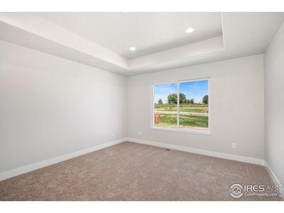 New construction Single-Family house 6997 Feather Reed Dr, Wellington, CO 80549 - image 9