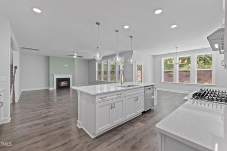 New construction Single-Family house 9168 Dupree Meadow Dr, Angier, NC 27501 plan The Hampton - image 16