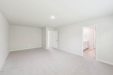 New construction Single-Family house 685 White Birch Ln, Angier, NC 27501 plan Chatham - image 17