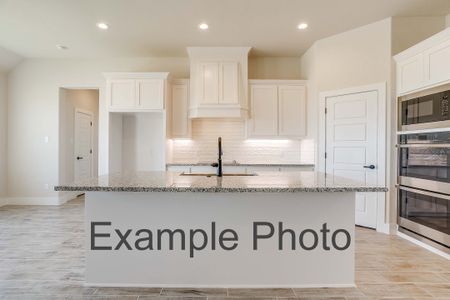 New construction Single-Family house 1022 Colt Rd, Springtown, TX 76082 plan The Lily - image 8