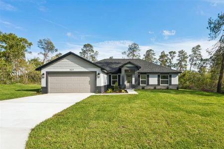 New construction Single-Family house 9412 Noddy Tern Rd, Weeki Wachee, FL 34613 - image