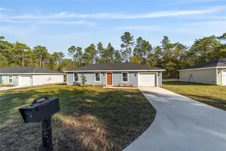 New construction Single-Family house 3 Fisher Trace Crse, Ocklawaha, FL 32179 - image