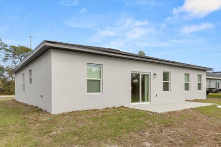 New construction Single-Family house 3995 Sw 151 St, Ocala, FL 34473 null- photo 20 20