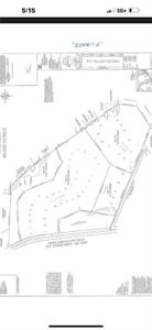 New construction Single-Family house 48 Preserve Trl, Lavonia, GA 30553 - image