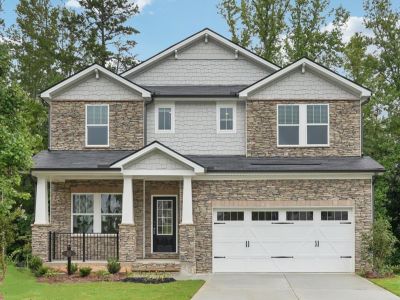 New construction Single-Family house 167 Valley Oak Dr, Dawsonville, GA 30534 plan Johnson Basement - image