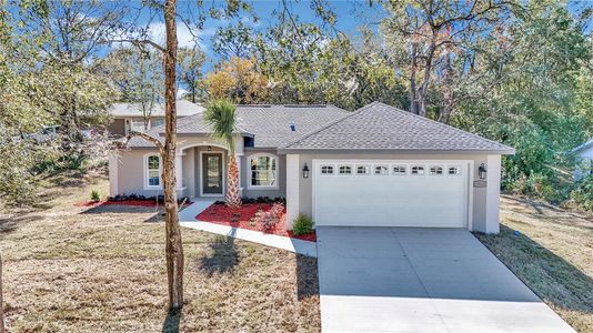 New construction Single-Family house 19610 Sw 93Rd Pl, Dunnellon, FL 34432 null- photo 39 39