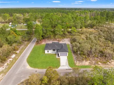 New construction Single-Family house 33 Fisher Pl, Ocklawaha, FL 32179 - image