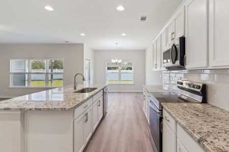 New construction Single-Family house 11033 Woodland Trl, Brunswick, GA 31525 plan The Dogwood - image 12