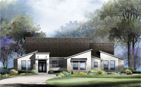 New construction Single-Family house 216 Bold Sundown, Liberty Hill, TX 78642 plan Amalfi - image