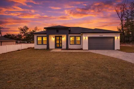 New construction Single-Family house 15303 Sw 48Th Ave, Ocala, FL 34473 - image