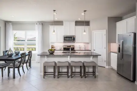 New construction Single-Family house 2578 White Ladyfish Rd, Wimauma, FL 33598 plan Panama - image 10