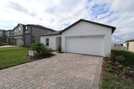 New construction Single-Family house 12193 Hilltop Farms Dr, Dade City, FL 33525 Sentinel- photo 108 108