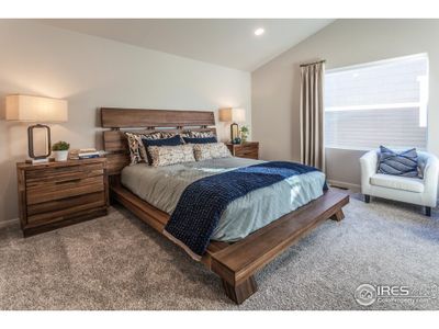 New construction Single-Family house 6121 Saddle Horn Dr, Timnath, CO 80547 - image 20