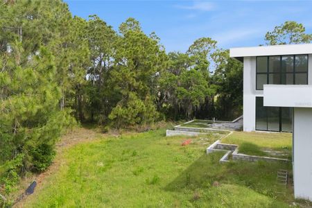 New construction Single-Family house 12505 Stonelake Ranch Blvd, Thonotosassa, FL 33592 plan Florence - image 11
