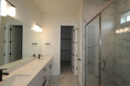 Owner's Bathroom