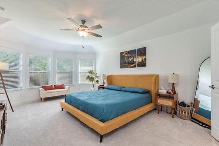 New construction Single-Family house 286 Muddy Creek Way, Kyle, TX 78640 McKinney- photo 14 14