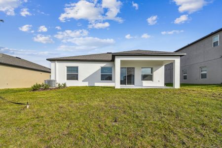 New construction Single-Family house 12193 Hilltop Farms Dr, Dade City, FL 33525 Sentinel- photo 129 129