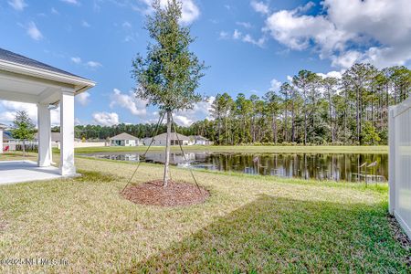 New construction Single-Family house 2320 Dallas Creek Ln, Green Cove Springs, FL 32043 null- photo 18 18