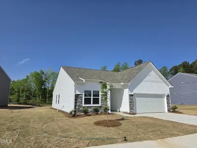 New construction Single-Family house 1520 Pond Overlook Dr, Nashville, NC 27856 - image