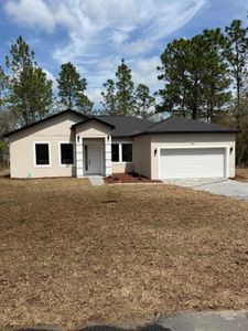 New construction Single-Family house 6991 Sw 151St Lp, Ocala, FL 34473 - image