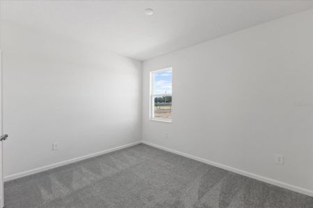 New construction Single-Family house 9572 Vibrant Ln, Venice, FL 34292 - image 10