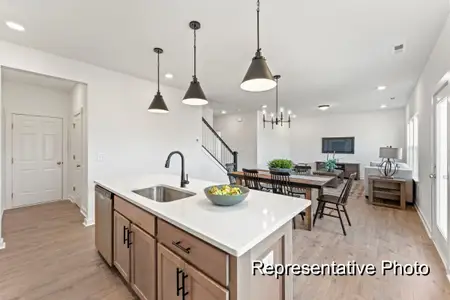 New construction Single-Family house 127 S Buggy Dr, Benson, NC 27504 plan The Whitney - image