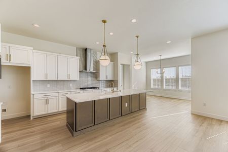 New construction Single-Family house 9046 S Shawnee Ct, Aurora, CO 80016 plan C552 - image 8