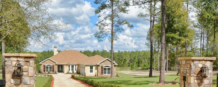 New construction Single-Family house Lot 6 Panoramic View Dr, Apopka, FL 32712 null- photo 0