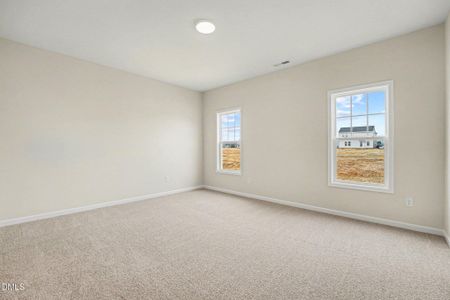 New construction Single-Family house 133 Tuscarora Dr, La Grange, NC 28551 - image 17