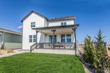 New construction Single-Family house 913 Trumpet Ln, Windsor, CO 80550 plan Twain - image 4