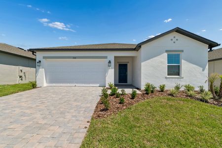 New construction Single-Family house 2920 Quinault Pl, Wimauma, FL 33598 plan Ventura - image