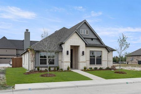 New construction Single-Family house 1780 Vista Wy, Waxahachie, TX 75165 plan Eisenhower - image
