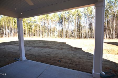 New construction Single-Family house 55 Accord Dr, Youngsville, NC 27596 Warwick- photo 22 22