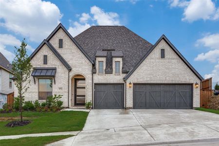 Ventana 60' by Perry Homes in Fort Worth - photo 18 18