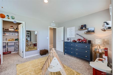 New construction Single-Family house 17376 Rose Mallow St, Parker, CO 80134 null- photo 15 15