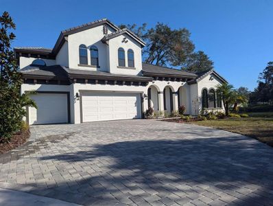 New construction Single-Family house 198 Hidden Estates Court, Brandon, FL 33511 - photo 0