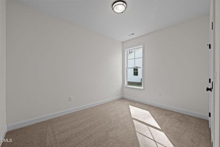 New construction Single-Family house 1216 Petite Terre Ct, New Bern, NC 28560 - image 15