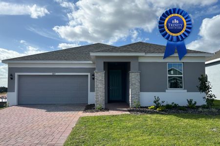 New construction Single-Family house 6821 Serpent Hawk Lane St, Howey-in-the-Hills, FL 34737 plan Hayden - image 16