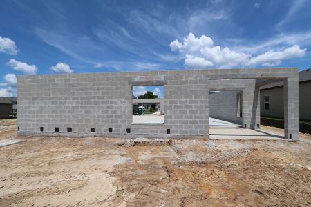 New construction Single-Family house 12219 Hilltop Farms Dr, Dade City, FL 33525 Malibu- photo 8 8