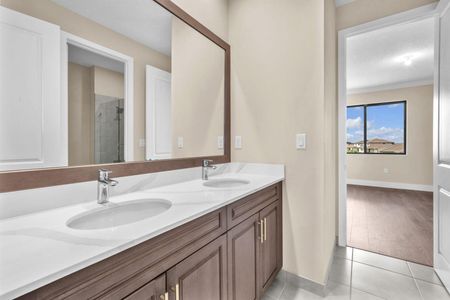 New construction Single-Family house 5291 Nevola Ave, Ave Maria, FL 34142 - image 9