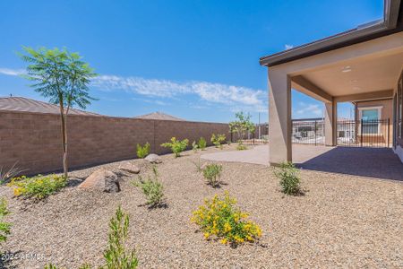 New construction Single-Family house 347 E Bracciano Ave, Queen Creek, AZ 85140 Refresh Exterior C- photo 8 8