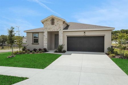 New construction Single-Family house 35424 Tuscan Hill Rd, Dade City, FL 33525 plan Lucca - Single Family Homes - image